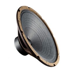 Alternative view of WGS G12A25 8ohm 12" 25 watt Guitar Speaker