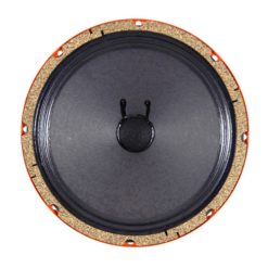Alternative view of WGS g10CS 16ohm 10" 75 watt Guitar Speaker